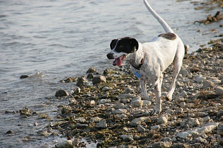 Lilly at Lake Amistad