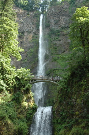 Ole Hoskinson's album, Oregon  Living