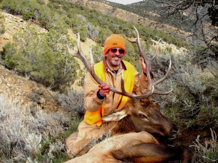 2006 Bull Elk