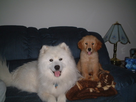 Cody and Sasha (she's the puppy)