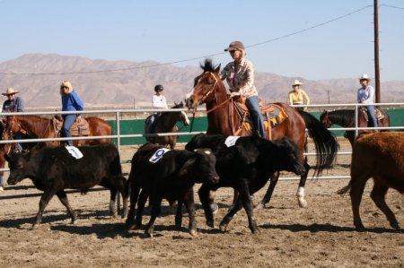 Ranch Sorting