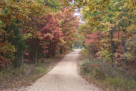 Autumn Road