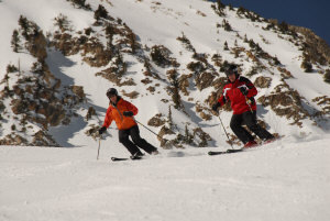 skiing snowbird