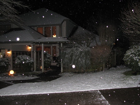 Front yard before the snow ball fight