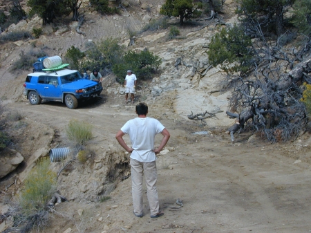 FJ winching tree