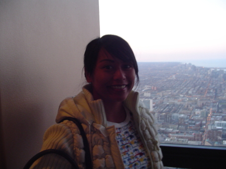 View from Sears Tower in Chicago,Illinois