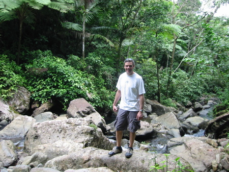 Rainforest of Puerto Rico, 2007