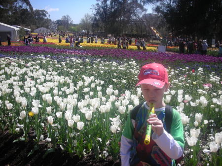 Floriade Canberra October 2007