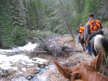 Elk Hunt   Sluice Box Mountains 06