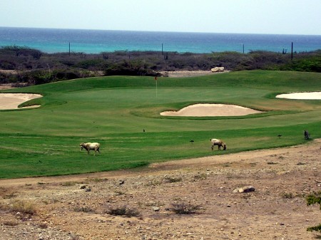 Golf in Aruba