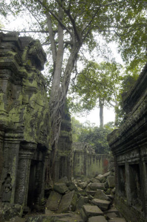 Ta Prohm