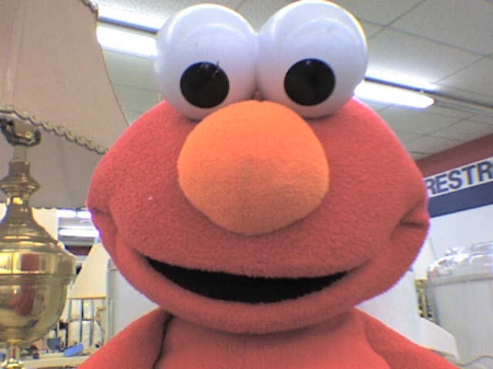 ELMO (FOR THOSE OF YOU WHO KNOW ME,YOU'LL KNOW WHY)