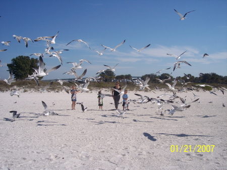 down on the beach