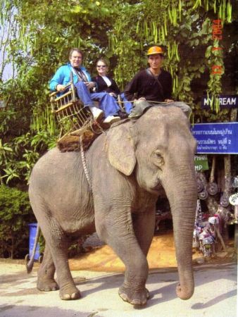 2004 Jan 11 Thailand Elephant Ride