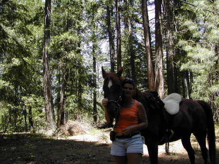 RIDING IN THE SIERRAS