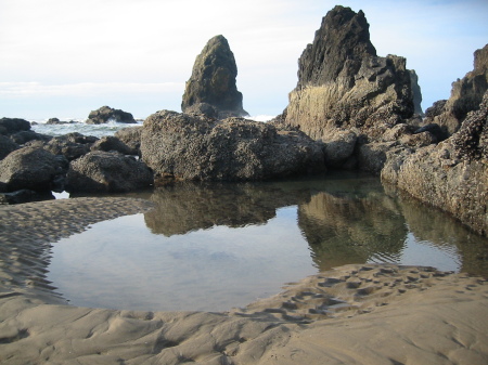 Tidal Pool at Cannon Beach
