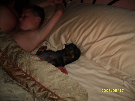 Ah! There's a boy AND a DOG! in our bed...
