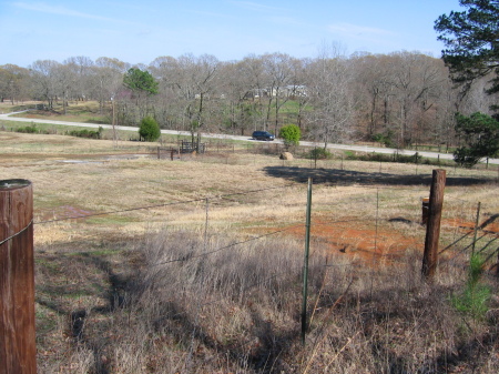 Another view of pasture