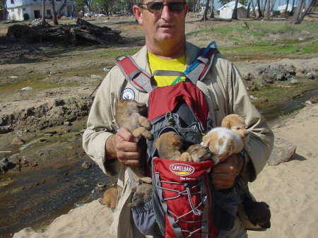 Me with puppies in Sri Lanka