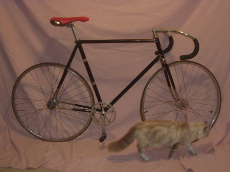 '74 schwinn paramount P14