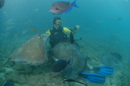 Diving in St. Thomas