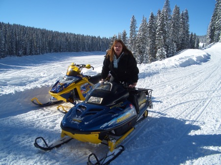 wini standing on sled