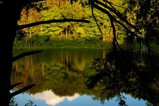 Pennyrile State Park, Kentucky