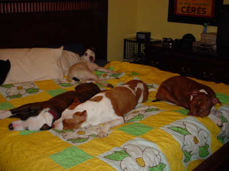 Maybell, Clyde, Betty and Zoe