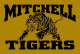 Mitchell High Booster Club Party Fundraiser reunion event on Oct 31, 2008 image
