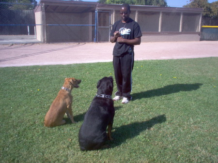 Rosco , Sasha & Me