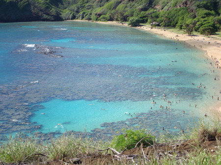 Hanuama Bay, Hawaii