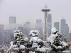 Snow In Seattle