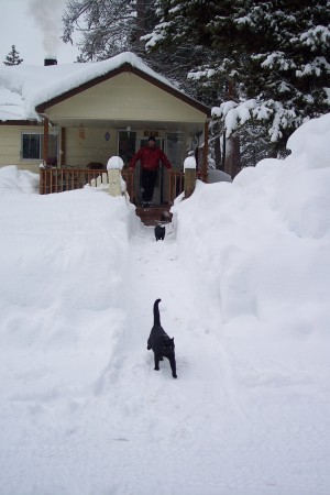 Our house in the winter.  Love it when snows.  Time to play!!!