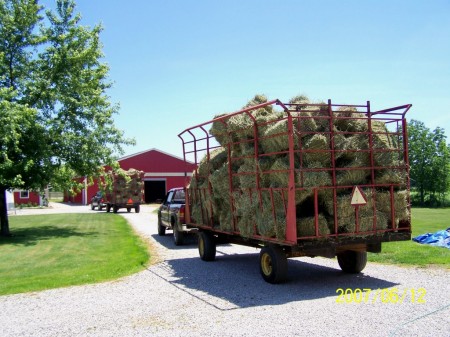 Hay!  It's summer at Stone Fox Farm