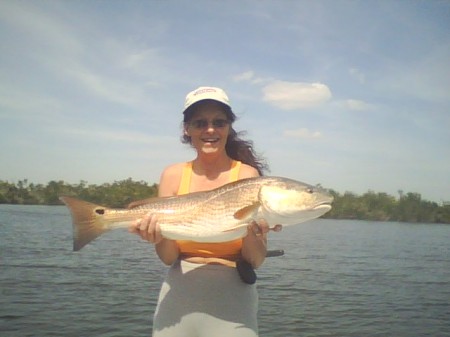 My  Red Fish