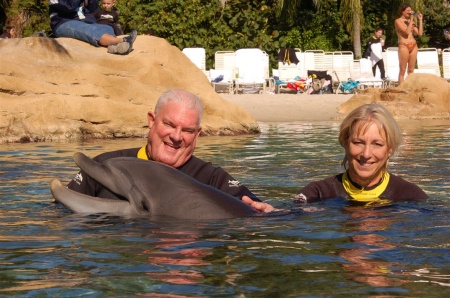 Swimming with the Dolphins