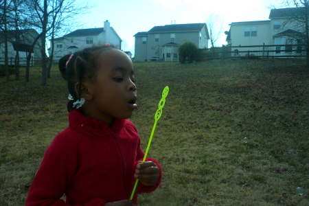 Assata's Windy Day in February 2008