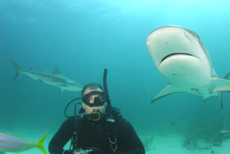 Me Diving with Sharks