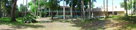 Panorama of back yard