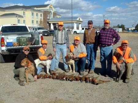 Texas Pheasant