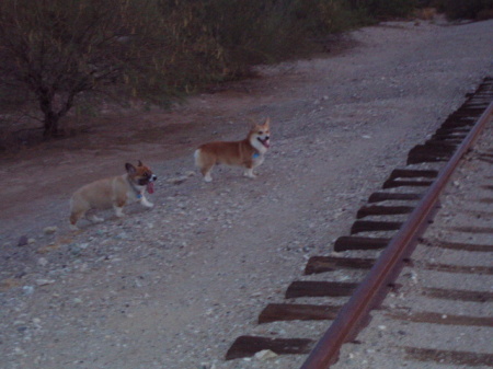 On the tracks