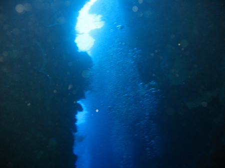 cocoviewdiving2008 259