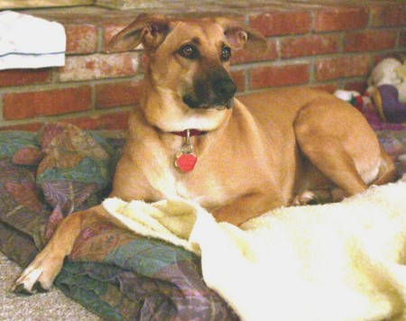 No kids yet, but here's our dog Carmel in 2006.