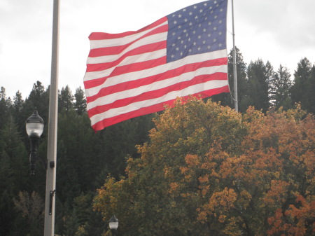 old glory flies every day at the library