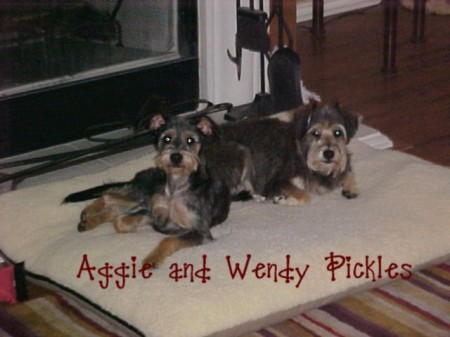 Aggie and Wendy Pickles