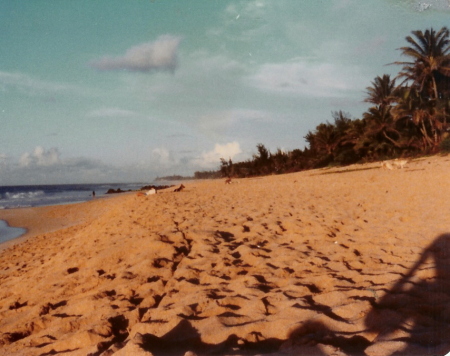 North shore of Hawaii 1970's