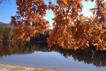 camping at cheaha 11-08