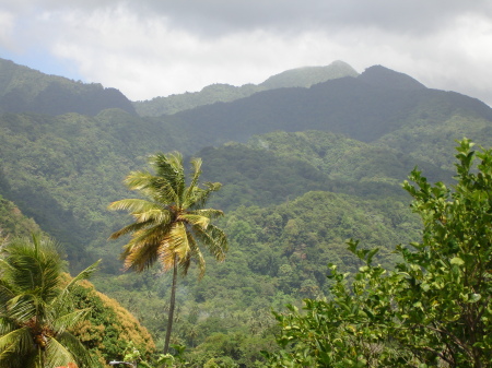 Dominica