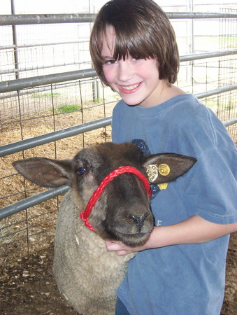 My son Matthew and his sheep Bud