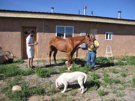 brother, horse, dog,me.. quess who is who